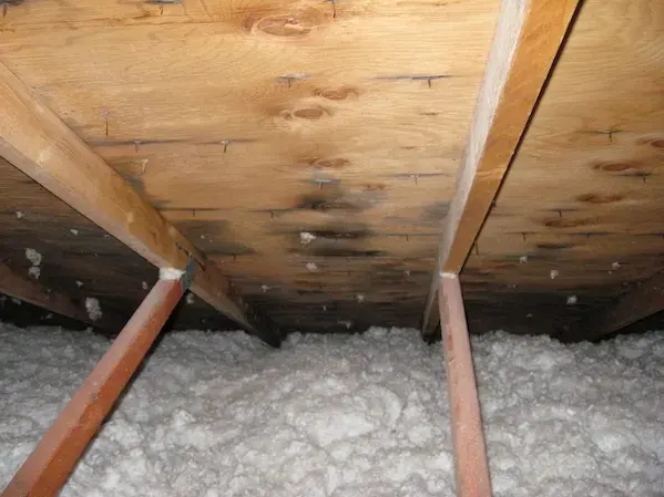 Roof leak water damage in the attic of a Fullerton home
